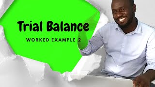 Trial Balance Worked Examples: Mastering Accounting with Practical Cases