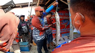 Menegangkan!! Timpah timpahan saat penimbagan hasil mancing