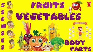 Fruits Name | Vegetables Names | 5 Senses | Human Sense Organs | Parts of The Body | Fruits For Kids