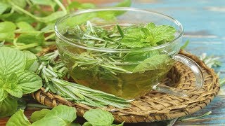 Informacion Sobre La Menta 😏 Menta Beneficios Medicinales