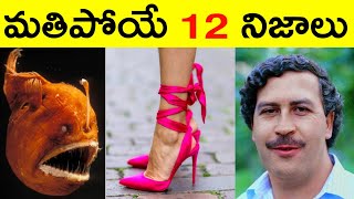 Top 12 Facts In Telugu | Amazing & Unknown Facts | Interesting Facts In Telugu | Ep - 3 | RAR Facts