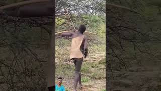 Wait for end 😱🔥😳#archery #africa #nature #wildlife #africantribe #hadzabetribe #bamboogun #diycrafts