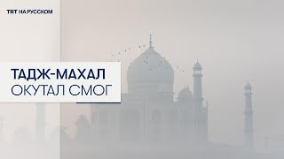 Тадж-Махал погрузился в ядовитый смог: Индия борется с растущим загрязнением воздуха