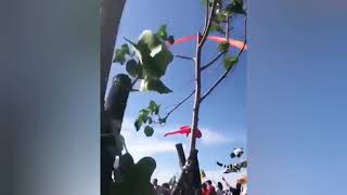 Niña de 3 años se enreda con una cometa y vuela por los aires en Taiwán