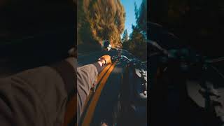 Ride with me through nature #motorcycleride #POV #motorcyclesound