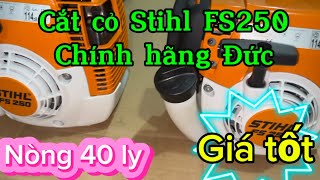 Cắt cỏ stihl FS250 Đức chính hãng