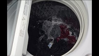 Samsung Top Load Washer (WA50R5200AW) "Normal" Full Cycle