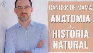 CÂNCER DE MAMA - ANATOMIA E HISTÓRIA NATURAL | Entenda a estrutura da mama e como o câncer evolui