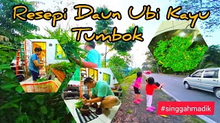 Resepi Daun Ubi Tumbok Iban Style / Ambil Daun Ubi Tumbok Dlm Lesung Kayu & Masak Iban Style