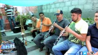 Banda 466 Paso a Paso "Son Nuevo" 2015