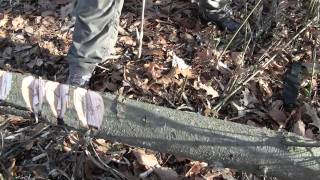 Cold Steel Trailmaster (Carbon V) (Close-up) (HD)