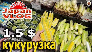 У Канами нет ни вкуса ни обоняния. Берем всё вкусное и ароматное — Видео о Японии от Пан Гайджин