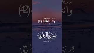 #سورة_البقرة #قران_كريم                      #احمد_العجمي #قران_كريم