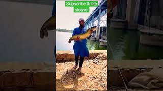 Catching||Patan fish 😱 #shorts #viral