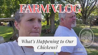 Farm Vlog: What is Happening to Our Chickens?