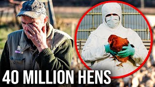 CATASTROPHIC Avian Flu Hits U.S. Poultry Farmers