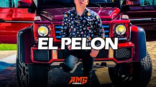 Beto Vega - El Pelon l Corridos 2022