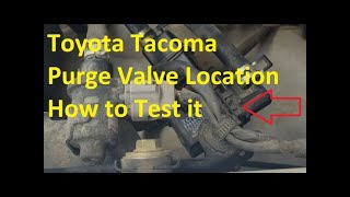 2004 Toyota Tacoma Purge Valve Location and How to Test It