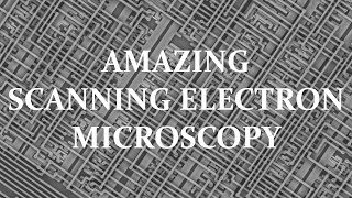 What is the electron microscopy? Amazing nano view of microchip, lotus leaf surface, butterfly wing