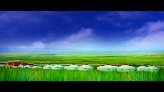 blue sky white clouds cattle and sheep crassland scenery photography&video background