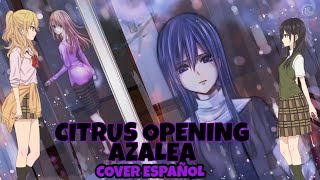 Citrus OP - Azalea [ACÚSTICO] (Cover Español)