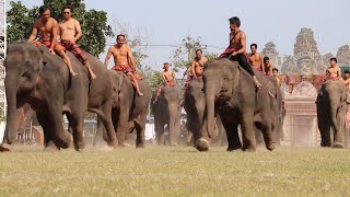 The Surin Province Elephant Show 2023