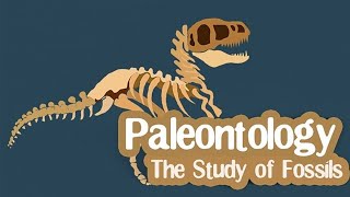 المرحلة الجامعية فيديو تعليمي علم الحفريات الكبيرة طلبة جيولوجيا Macropaleontolog Practical course