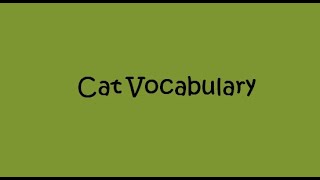 Quick Vocabulary - Cat