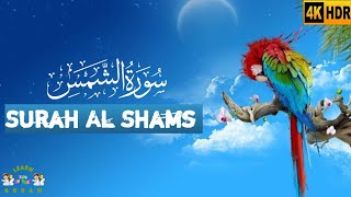 Surat Ash-Shams (The Sun)   سورة الشمس