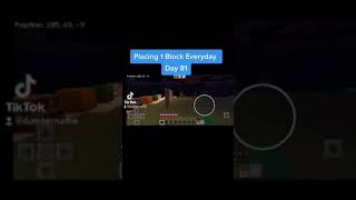 placing 1 block everyday day 81