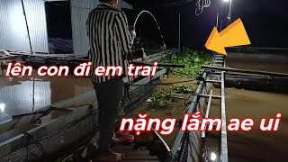 Anh em cần thủ bơi hết vào đây xem nè