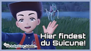 So findest du Suicune - Pokemon Karmesin & Purpur DLC die Indigoblaue Scheibe