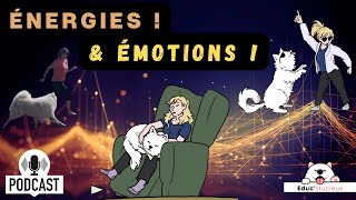 L'importance des énergies & des émotions en éducation canine !