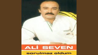 Sevmeyeceğim