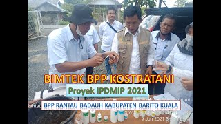 Bimtek BPP Kostratani Proyek IPDMIP di BPP Rantau Badauh