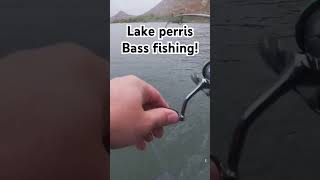 Lake perris bass fishing! #boat #fishing #lakeperris #bassfishing #catchingfish #bass #fishcatching