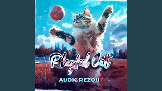 Playful Cat (Radio Edit)