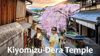 Perfect Date Destination! Kimono Magic and Cherry Blossoms at Kiyomizu-dera Temple