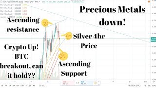 Precious Metals Down and Crypto Market up! Could a recovery be in site?