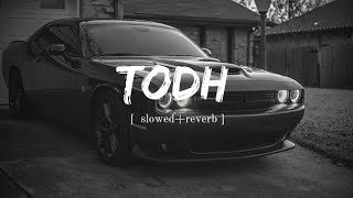 TODH [ Slowed+Reverb ] Grow India Tech