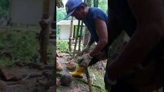 Suasana Pedesaan Sunda Di Pagi Hari Yang Damai, Kampung Tersembunyi Di Tasikmalaya #shorts