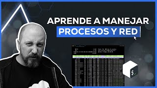 ¡Alias en Bash para procesos y red! 🔍 #programacion #server #vps #devops