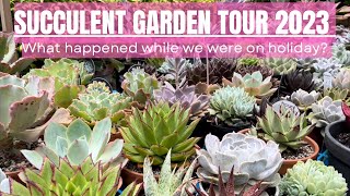 SUCCULENT GARDEN TOUR 2023 (Coming back to our garden after our holiday)