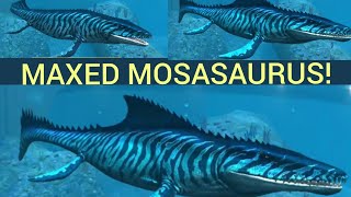 GETTING THE MOSASAURUS MAXED!