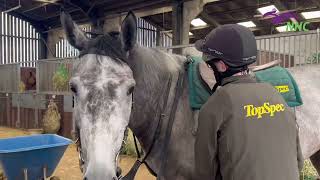 #RacingStaffWeek | 👉 Meet Daniel Perrin, Racing Groom at Philip Kirby Racing