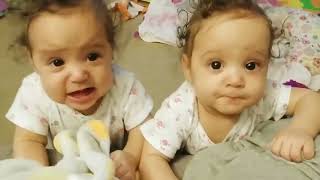 Funny Twin Babies Arguing | Sibling Funny Arguing