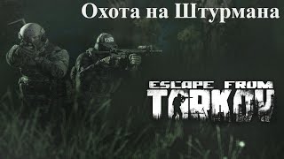 Рейды в лес. Охота на Штурмана в Escape from Tarkov (Побег из Таркова)