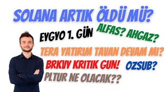 SOLANA ÖLDÜ MÜ? PLTUR NE OLACAK? EYGYO | TERA | BRKVY | ALFAS | AHGAZ | OZSUB | HALKA ARZLAR..