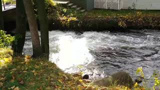 Sunshine On Waterfall   Albion