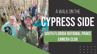 A Walk on the Cypress Side